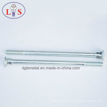 Stainless Steel Carriage Bolt /Square Neck Bolt with High Strength